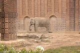 leipzig zoo-01_07_2011_zoo_allgemein_183